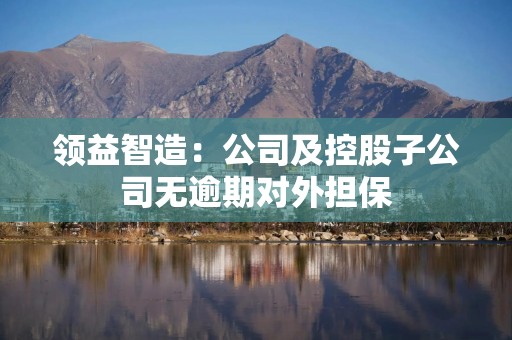 领益智造：公司及控股子公司无逾期对外担保