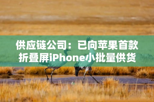 供应链公司：已向苹果首款折叠屏iPhone小批量供货