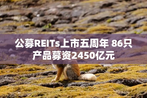 公募REITs上市五周年 86只产品募资2450亿元