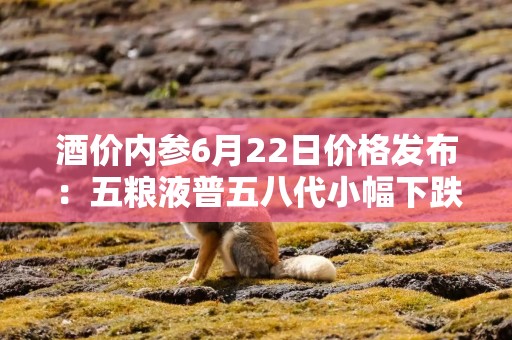 酒价内参6月22日价格发布：五粮液普五八代小幅下跌1元