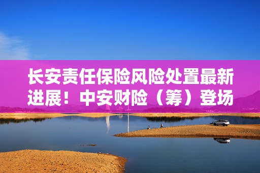 长安责任保险风险处置最新进展！中安财险（筹）登场