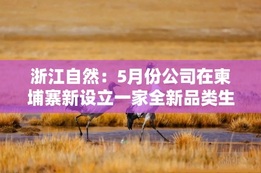 浙江自然：5月份公司在柬埔寨新设立一家全新品类生产工厂，聚焦高端户外产品
