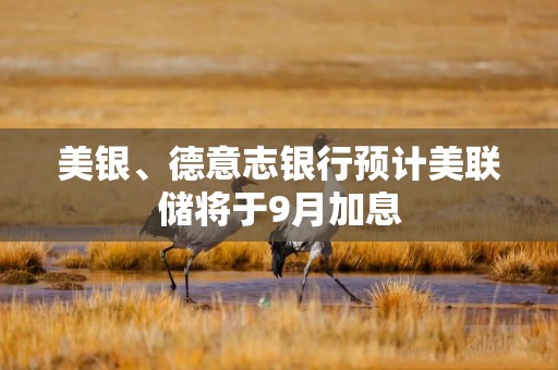 美银、德意志银行预计美联储将于9月加息