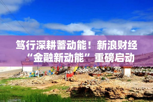 笃行深耕蓄动能！新浪财经“金融新动能”重磅启动