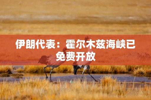 伊朗代表：霍尔木兹海峡已免费开放