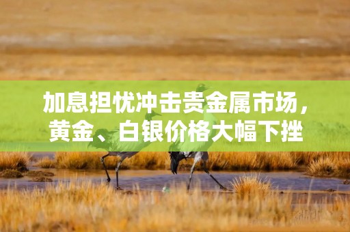 加息担忧冲击贵金属市场，黄金、白银价格大幅下挫