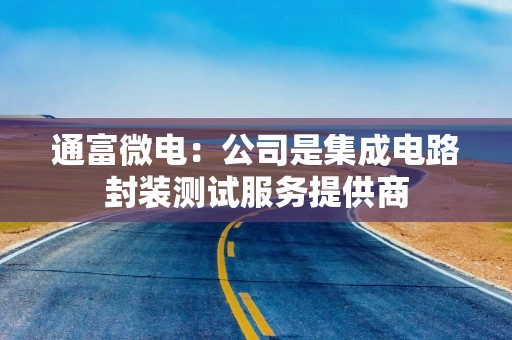 通富微电：公司是集成电路封装测试服务提供商