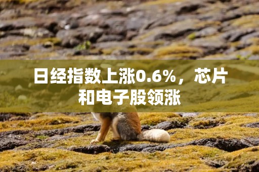 日经指数上涨0.6%，芯片和电子股领涨