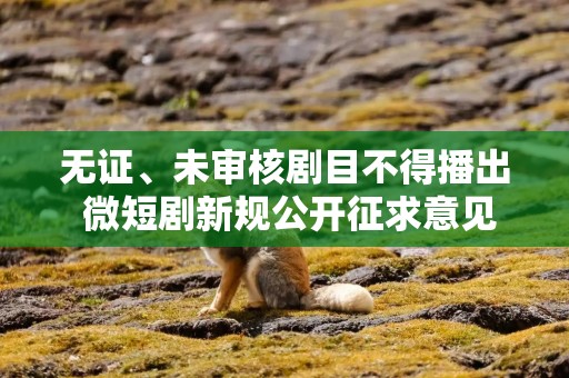 无证、未审核剧目不得播出 微短剧新规公开征求意见
