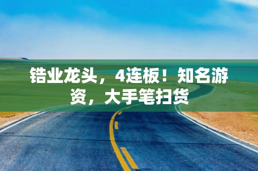锆业龙头，4连板！知名游资，大手笔扫货