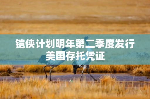 铠侠计划明年第二季度发行美国存托凭证