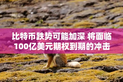 比特币跌势可能加深 将面临100亿美元期权到期的冲击