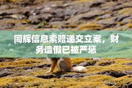 同辉信息索赔递交立案，财务造假已被严惩