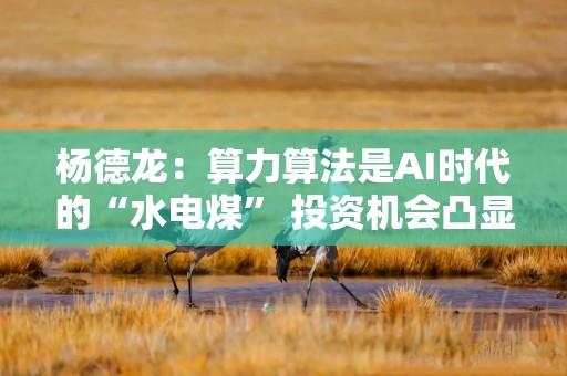 杨德龙：算力算法是AI时代的“水电煤” 投资机会凸显