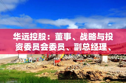 华远控股：董事、战略与投资委员会委员、副总经理、董事会秘书张全亮离任