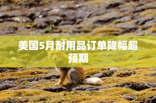 美国5月耐用品订单降幅超预期
