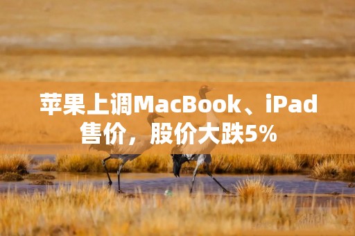 苹果上调MacBook、iPad售价，股价大跌5%