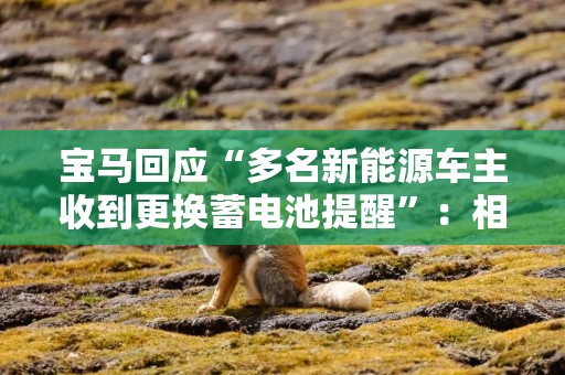 宝马回应“多名新能源车主收到更换蓄电池提醒”：相关提示信息为误报，正积极推进解决方案确保不再出现