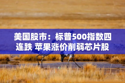 美国股市：标普500指数四连跌 苹果涨价削弱芯片股利好