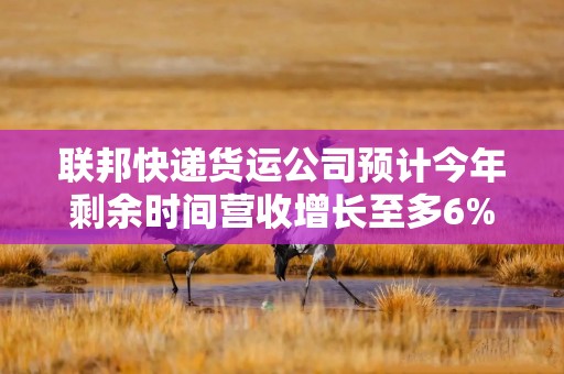联邦快递货运公司预计今年剩余时间营收增长至多6%