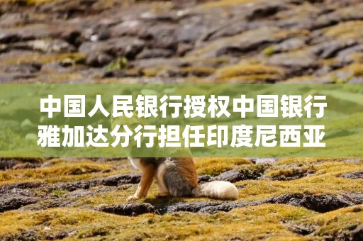 中国人民银行授权中国银行雅加达分行担任印度尼西亚人民币清算行