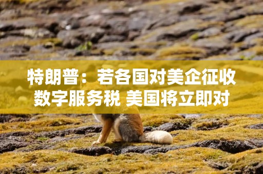 特朗普：若各国对美企征收数字服务税 美国将立即对他们征100%关税