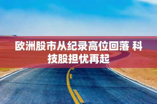 欧洲股市从纪录高位回落 科技股担忧再起