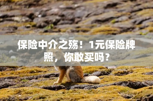 保险中介之殇！1元保险牌照，你敢买吗？