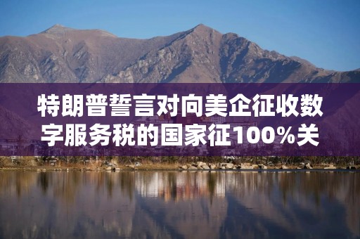 特朗普誓言对向美企征收数字服务税的国家征100%关税