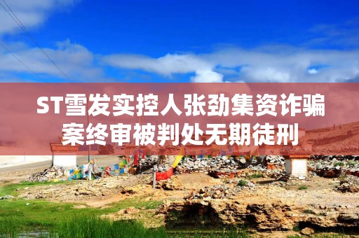 ST雪发实控人张劲集资诈骗案终审被判处无期徒刑
