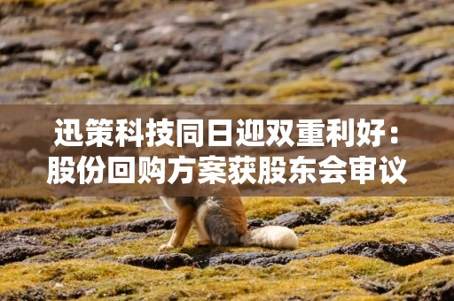 迅策科技同日迎双重利好：股份回购方案获股东会审议通过，中信建投首予“买入”评级