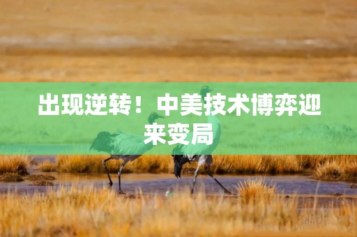 出现逆转！中美技术博弈迎来变局