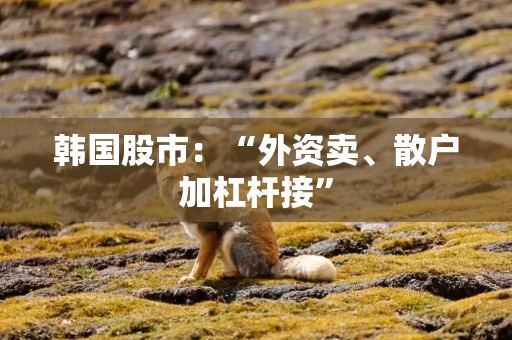 韩国股市：“外资卖、散户加杠杆接”