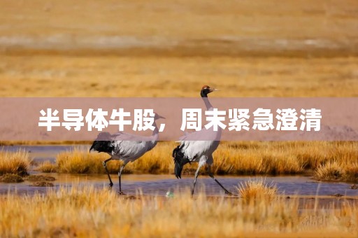 半导体牛股，周末紧急澄清