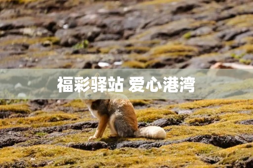福彩驿站 爱心港湾