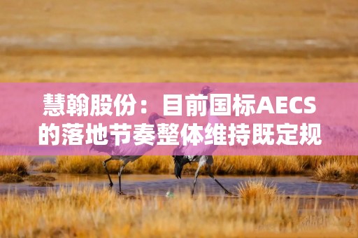 慧翰股份：目前国标AECS的落地节奏整体维持既定规划