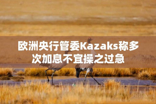 欧洲央行管委Kazaks称多次加息不宜操之过急