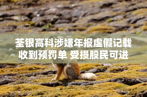 荃银高科涉嫌年报虚假记载收到预罚单 受损股民可进行预索赔登记