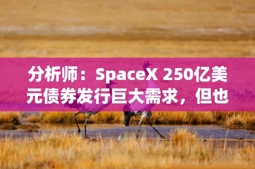 分析师：SpaceX 250亿美元债券发行巨大需求，但也可能给投资者带来隐忧