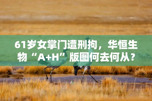 61岁女掌门遭刑拘，华恒生物“A+H”版图何去何从？
