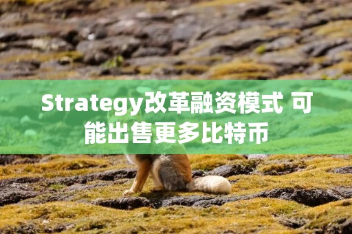 Strategy改革融资模式 可能出售更多比特币