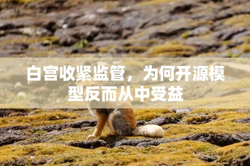 白宫收紧监管，为何开源模型反而从中受益