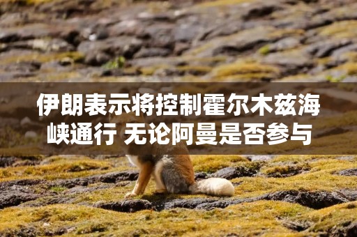 伊朗表示将控制霍尔木兹海峡通行 无论阿曼是否参与