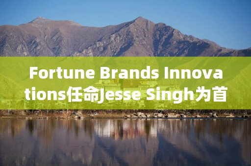 Fortune Brands Innovations任命Jesse Singh为首席执行官