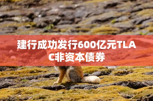 建行成功发行600亿元TLAC非资本债券