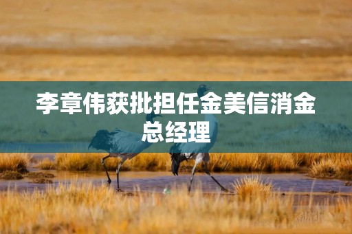 李章伟获批担任金美信消金总经理