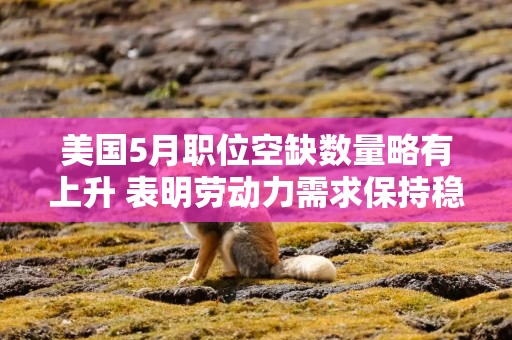 美国5月职位空缺数量略有上升 表明劳动力需求保持稳定