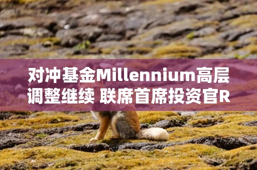 对冲基金Millennium高层调整继续 联席首席投资官Russo年底退休