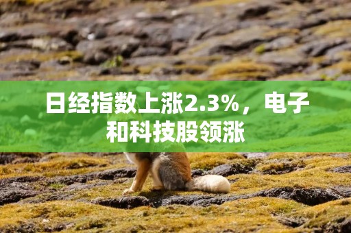 日经指数上涨2.3%，电子和科技股领涨
