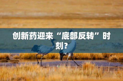 创新药迎来“底部反转”时刻？